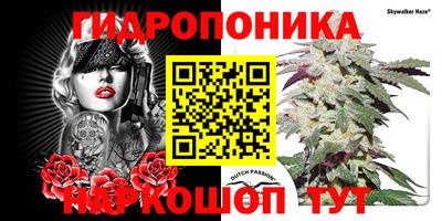 дмт Краснокаменск